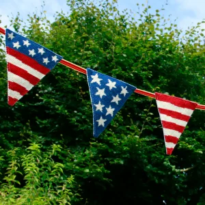 Celebrations - USA Bunting